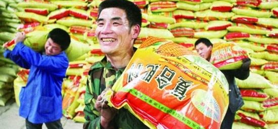 肥市迎来涨价潮，谁来为冬储买单？